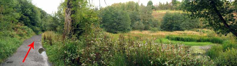 Photograph of Walking Route - Image 26