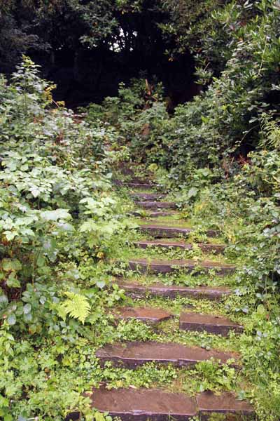 Photograph of Walking Route - Image 27