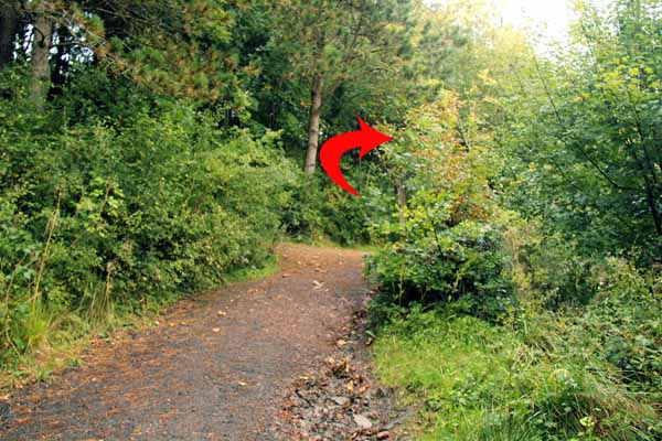 Photograph of Walking Route - Image 28