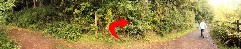 Photograph of Walking Route - Image 29