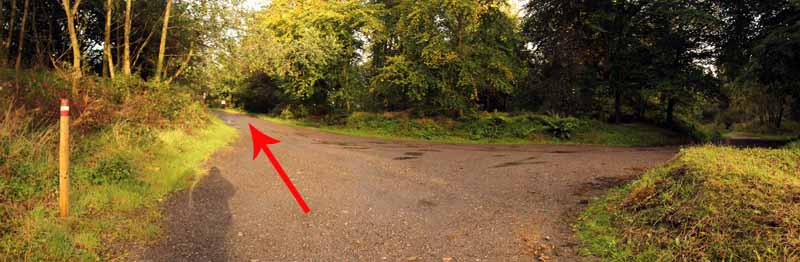 Photograph of Walking Route - Image 31