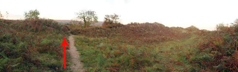 Photograph of Walking Route - Image 2