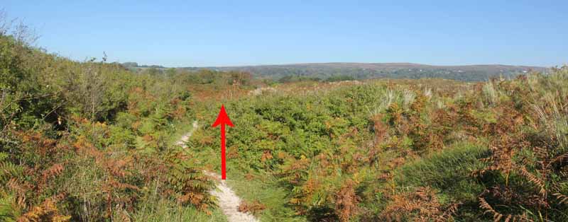 Photograph of Walking Route - Image 4