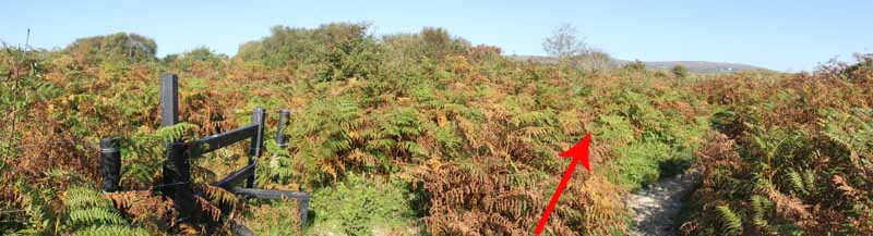 Photograph of Walking Route - Image 6