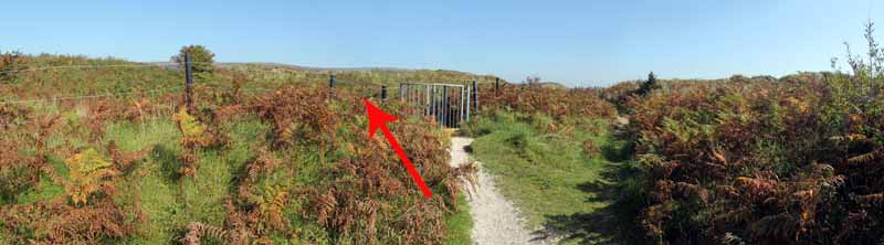 Photograph of Walking Route - Image 7