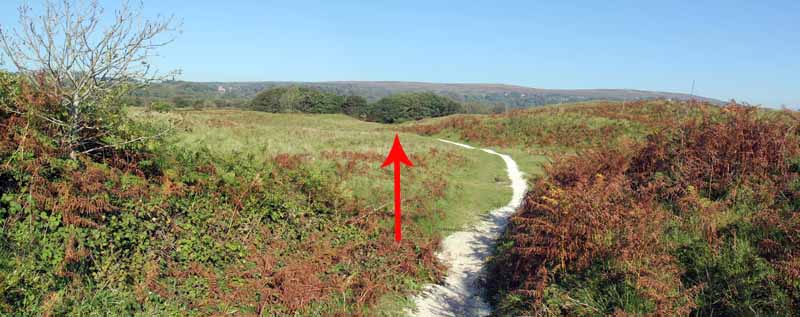 Photograph of Walking Route - Image 8