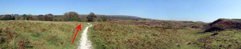 Photograph of Walking Route - Image 10