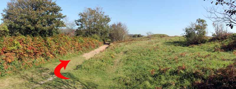 Photograph of Walking Route - Image 11