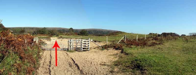 Photograph of Walking Route - Image 12