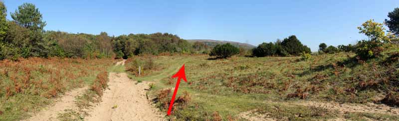 Photograph of Walking Route - Image 13