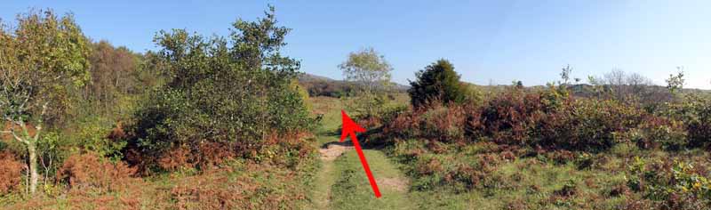 Photograph of Walking Route - Image 14