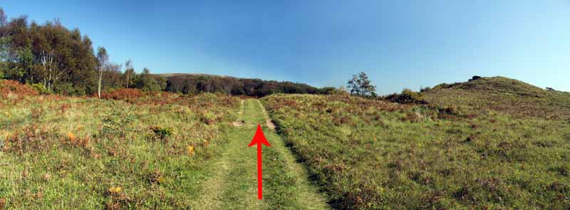 Photograph of Walking Route - Image 15