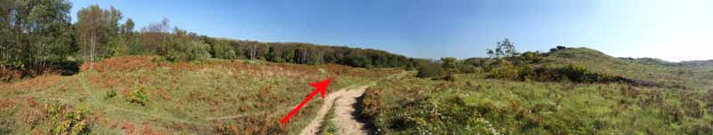 Photograph of Walking Route - Image 16