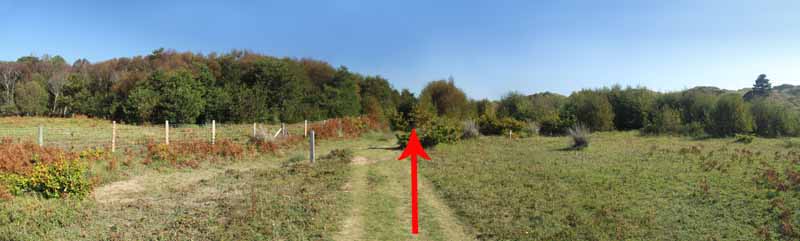 Photograph of Walking Route - Image 17