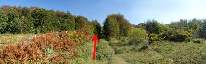 Photograph of Walking Route - Image 18