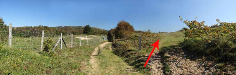 Photograph of Walking Route - Image 19