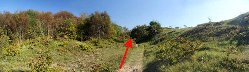 Photograph of Walking Route - Image 21