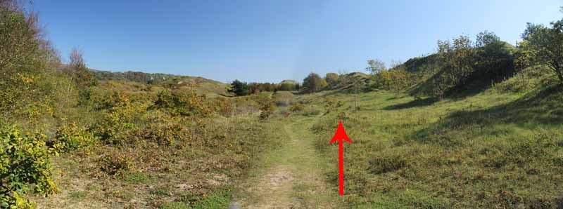 Photograph of Walking Route - Image 22