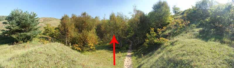 Photograph of Walking Route - Image 24