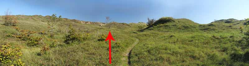 Photograph of Walking Route - Image 25