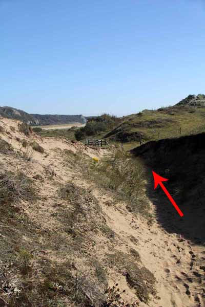 Photograph of Walking Route - Image 26