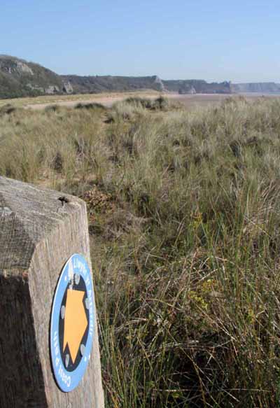 Photograph of Walking Route - Image 29