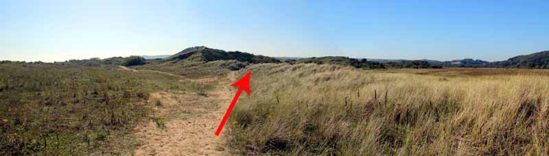 Photograph of Walking Route - Image 39