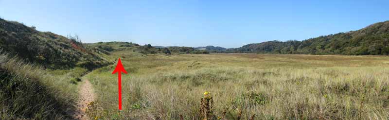 Photograph of Walking Route - Image 41