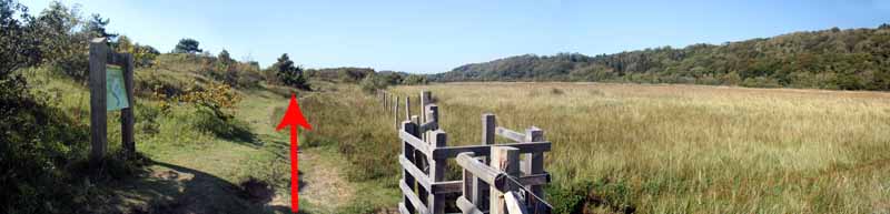 Photograph of Walking Route - Image 43