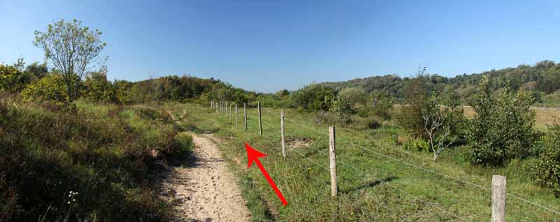 Photograph of Walking Route - Image 44