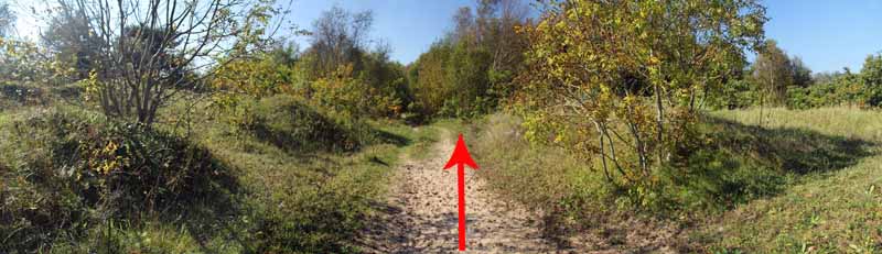 Photograph of Walking Route - Image 45