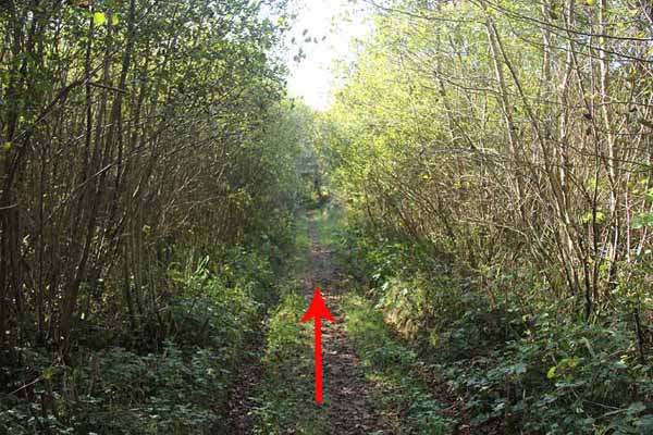 Photograph of Walking Route - Image 46