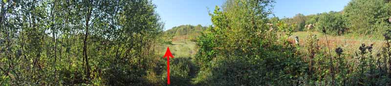 Photograph of Walking Route - Image 48