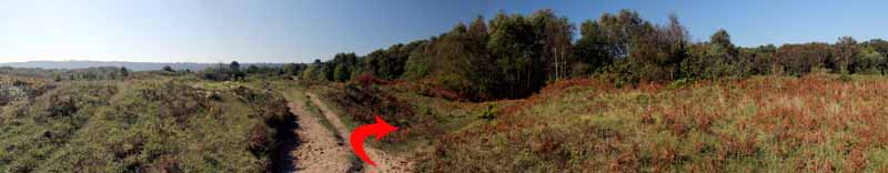 Photograph of Walking Route - Image 49