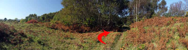 Photograph of Walking Route - Image 50