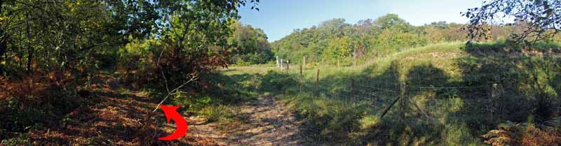 Photograph of Walking Route - Image 51