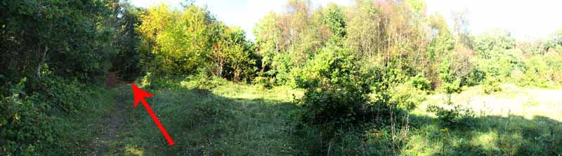 Photograph of Walking Route - Image 52