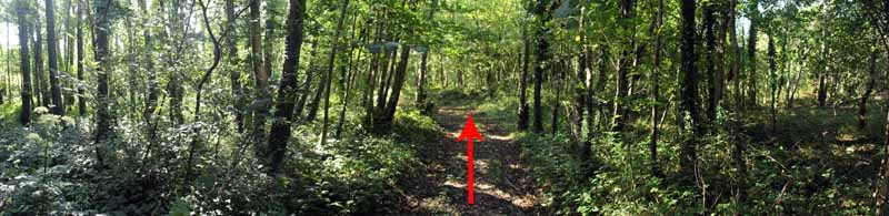 Photograph of Walking Route - Image 53