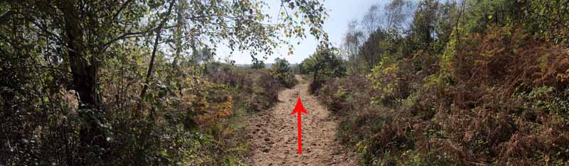 Photograph of Walking Route - Image 54