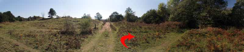 Photograph of Walking Route - Image 56