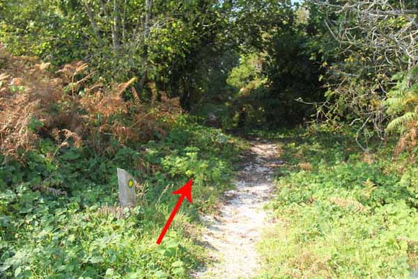 Photograph of Walking Route - Image 57