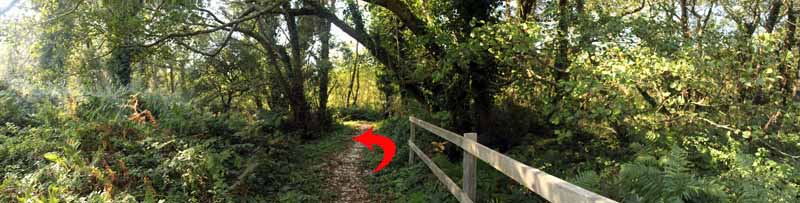 Photograph of Walking Route - Image 58