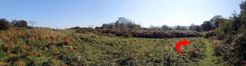 Photograph of Walking Route - Image 59