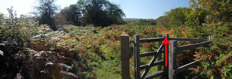 Photograph of Walking Route - Image 60