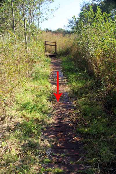 Photograph of Walking Route - Image 61