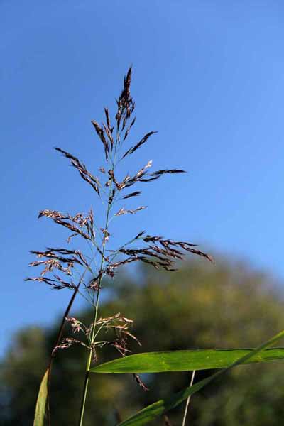 Photograph of Walking Route - Image 62