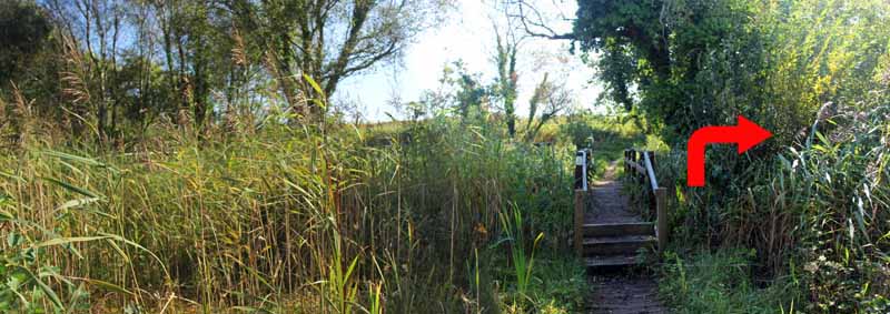 Photograph of Walking Route - Image 63