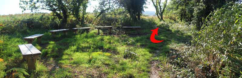 Photograph of Walking Route - Image 64