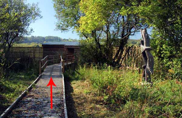 Photograph of Walking Route - Image 69