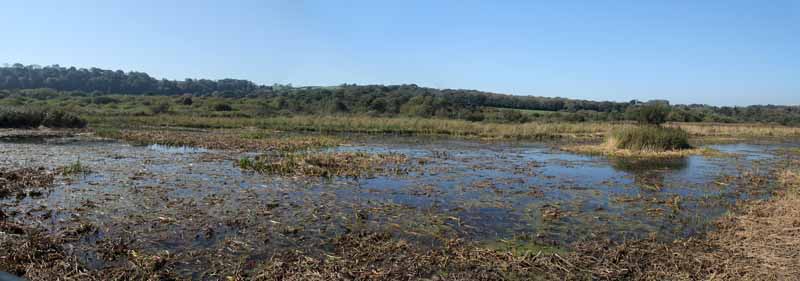 Photograph of Walking Route - Image 70
